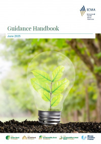 The Principles Guidance Handbook - June 2025