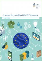  Ensuring the usability of the EU Taxonomy - February 2022